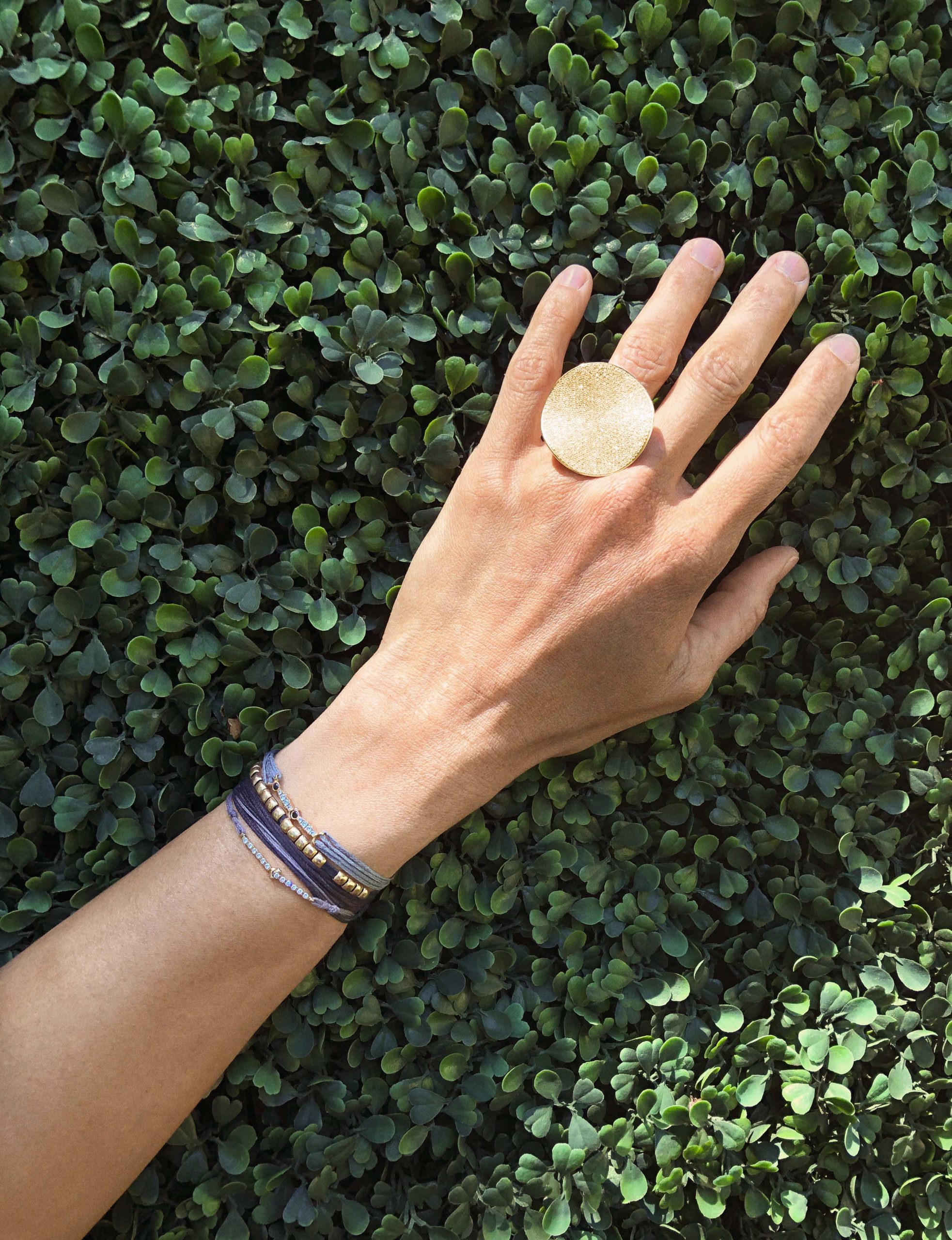 IMG_3595_3_layout_downsize