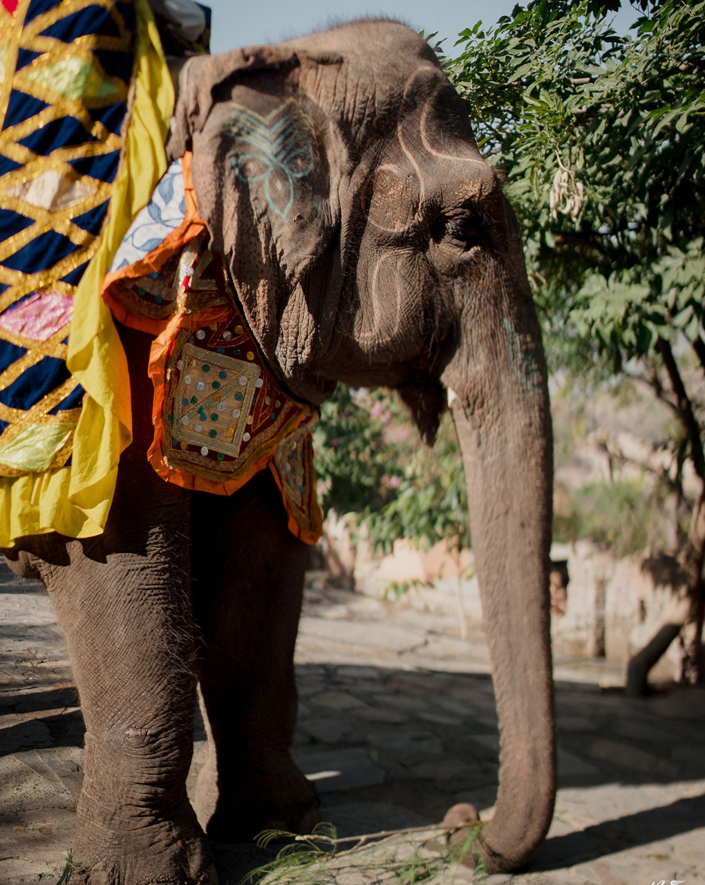 NVP_SANYA_GANDHARV_FINAL_7_WEB-EDITORIAL_downsize